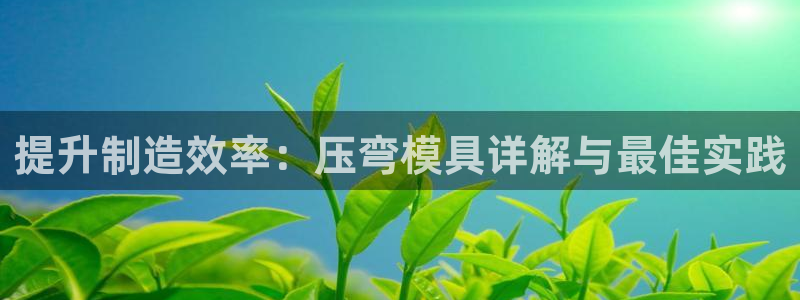 太阳成集团tyc234cc福利：提升制造效率：压弯模具详解与最佳实践