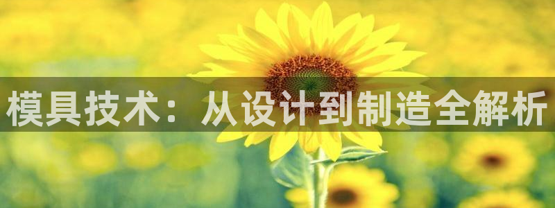 太阳集团电子游戏登录：模具技术：从设计到制造全解析