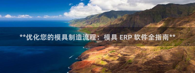 太阳诚集团有限公司有多少人：**优化您的模具制造流程：模具 ERP 软件全指南**